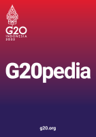 G20pedia.pdf